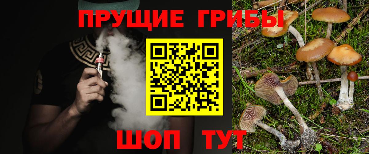 Скопин  Галлюциногенные грибы Cubensis  Вход с VPN 